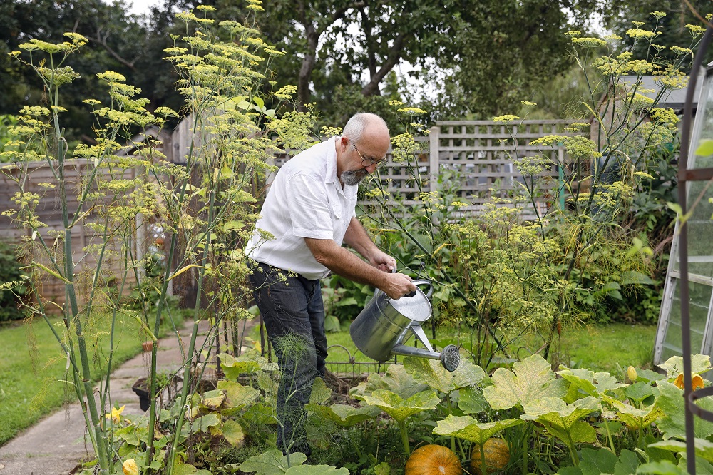 watering
